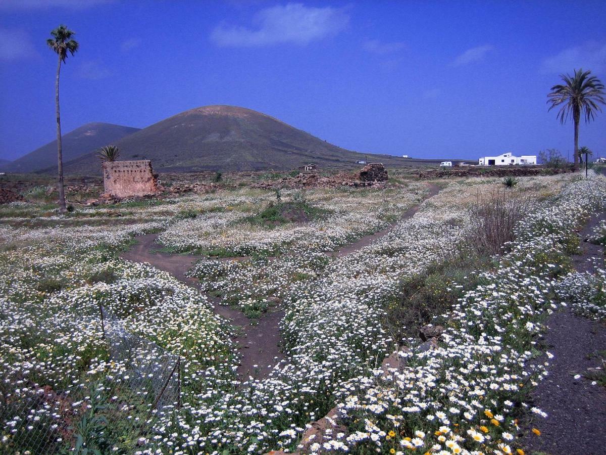 La Asomada  Castillo Lanzarote Villa Winni - Luxury Villa - Pet Friendly With Heated Pool מראה חיצוני תמונה