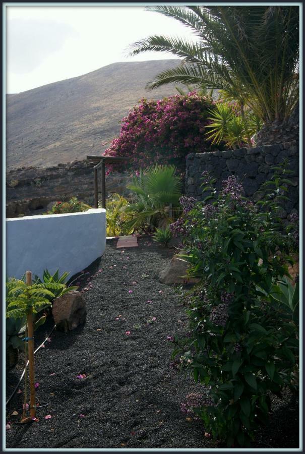 La Asomada  Castillo Lanzarote Villa Winni - Luxury Villa - Pet Friendly With Heated Pool מראה חיצוני תמונה