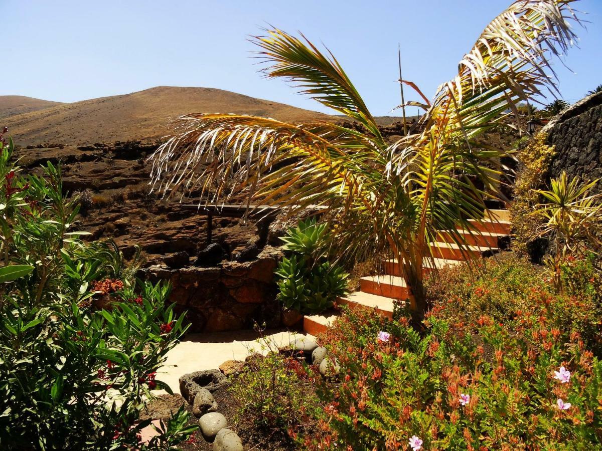 La Asomada  Castillo Lanzarote Villa Winni - Luxury Villa - Pet Friendly With Heated Pool מראה חיצוני תמונה